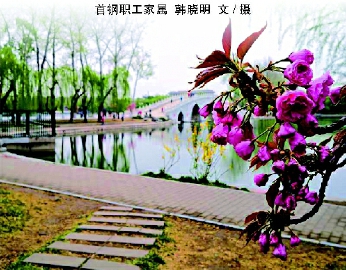 玉渊春晚