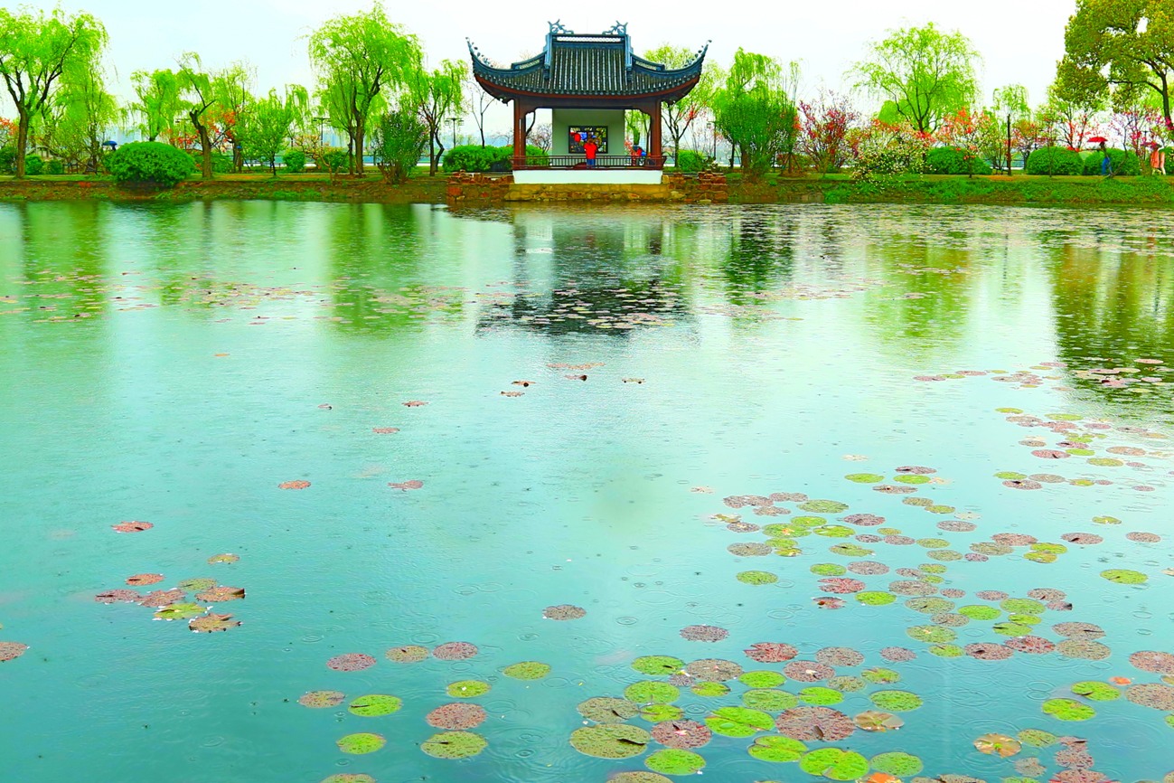 《荡漾》