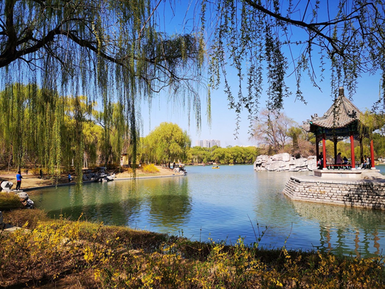 《春意浓浓》