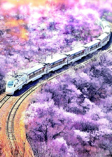 《开往春天的列车》