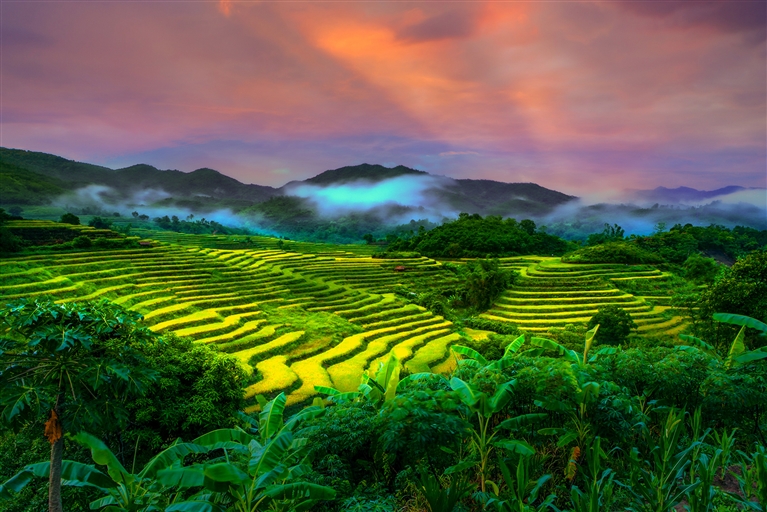 梯田风景