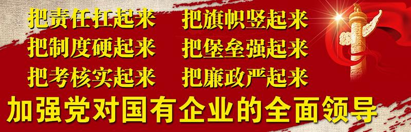 物资集团纪委学思践悟真抓实干