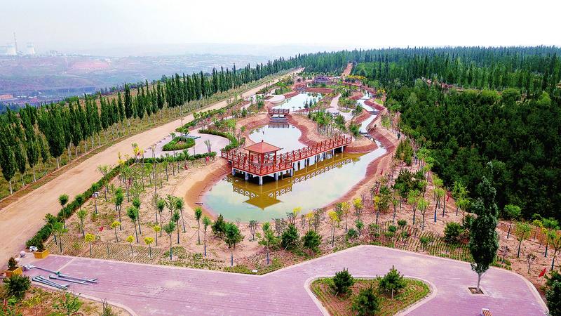 美丽人工湖 绿色生态景