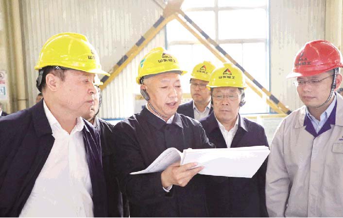 副省长凌文到公司调研指导『不忘初心牢记使命』主题教育
