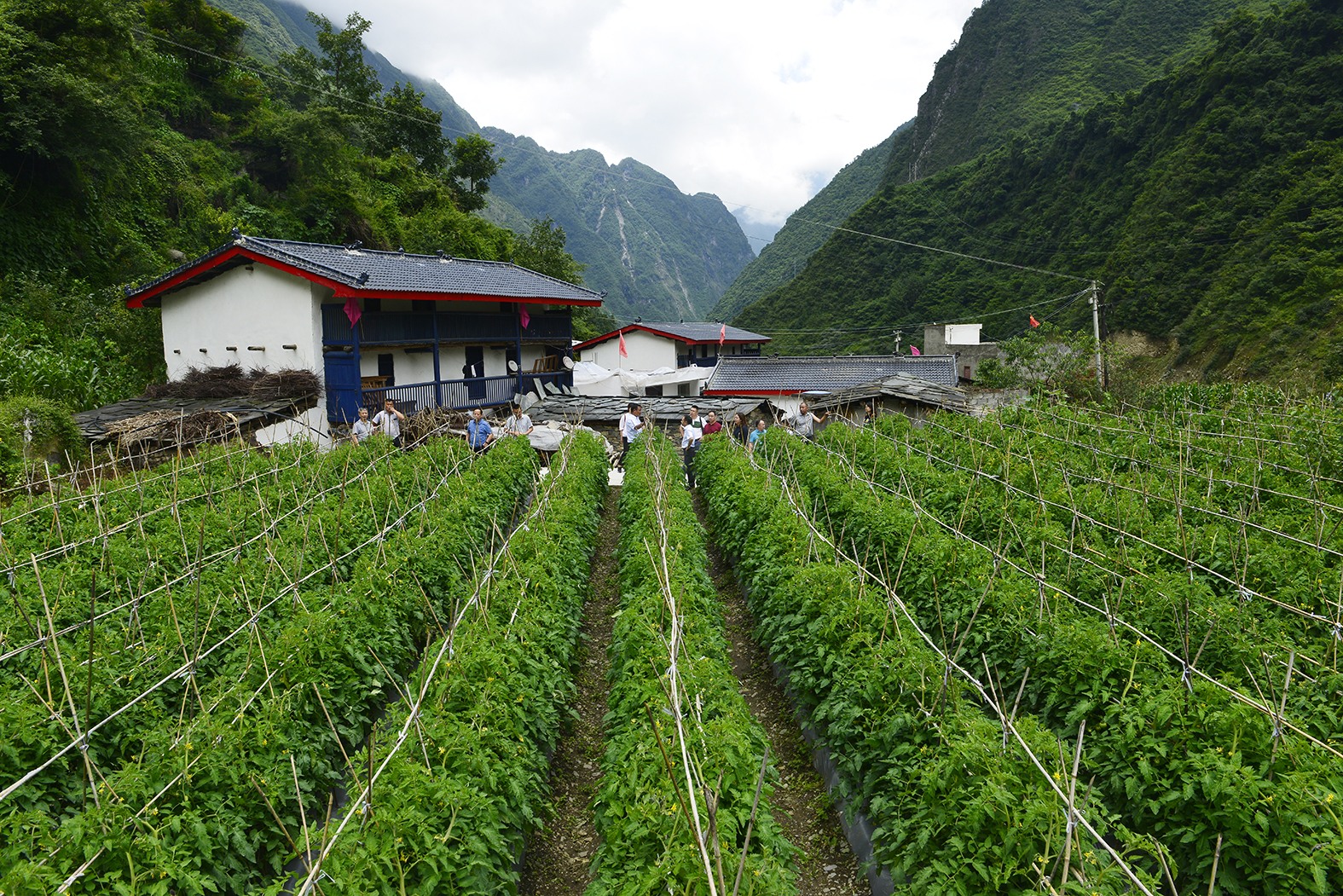 大爱高原 山村嬗变 ——四川局定点帮扶九龙县雪洼龙镇甲铺子村纪实