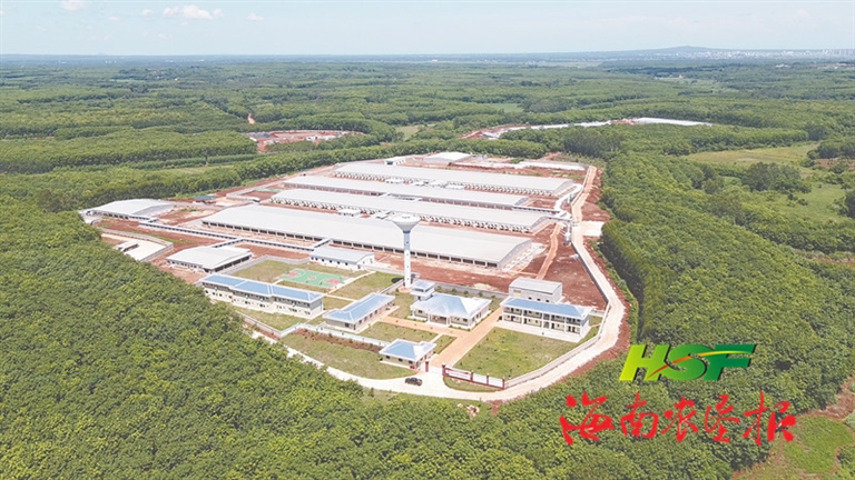 产业版图添新景 产业发展增活力