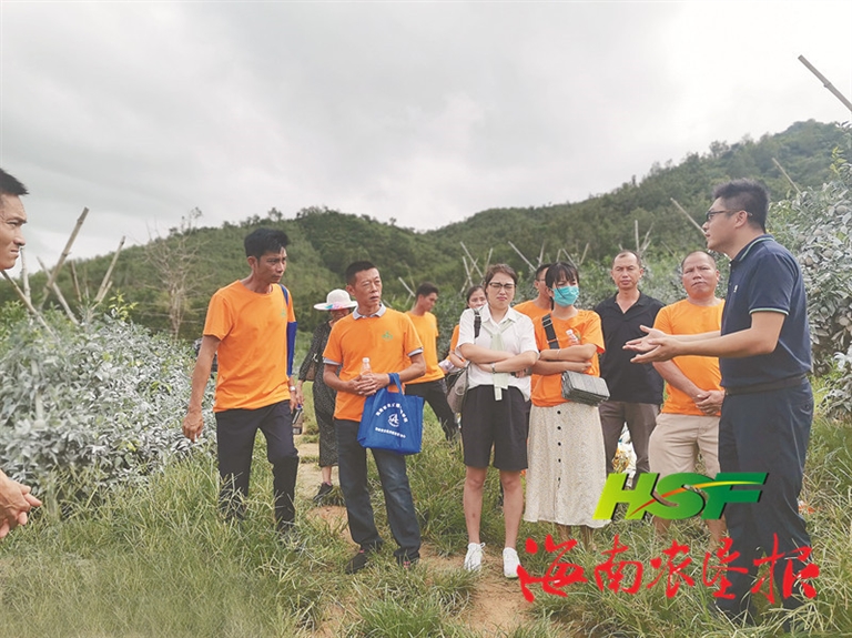 垦地“联姻” “育”出硕果