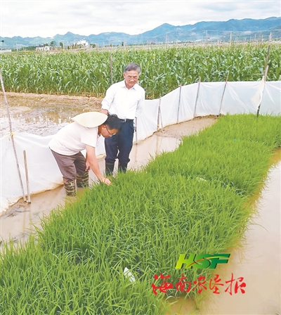 图片新闻