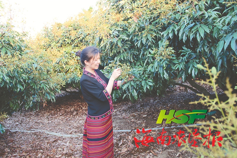 家乡的绿水青山就是金山银山