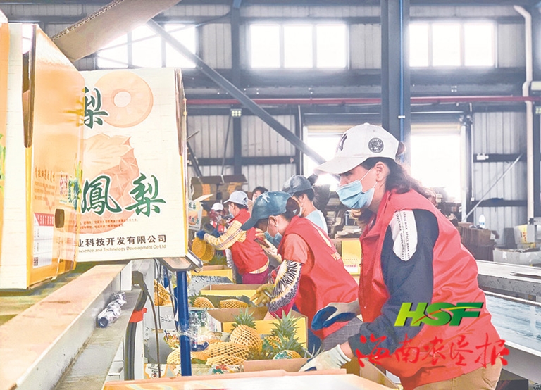 打造资源“聚宝盆” 助力产业新发展