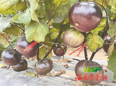 3.26.1b2_副本_b.jpg
