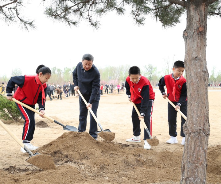 倡导人人爱绿植绿护绿的文明风尚　共同建设人与自然和谐共生的美丽家园