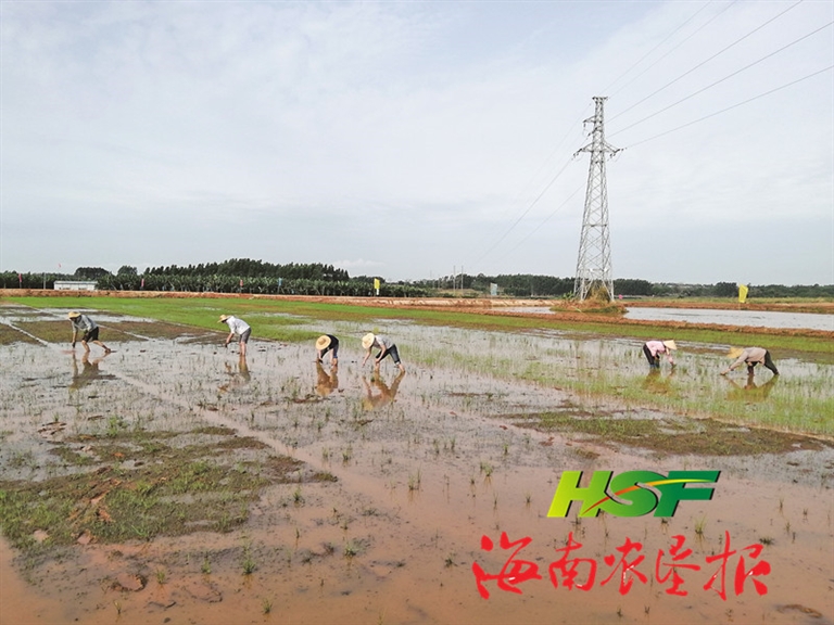 4.30.2b3_副本_s.jpg