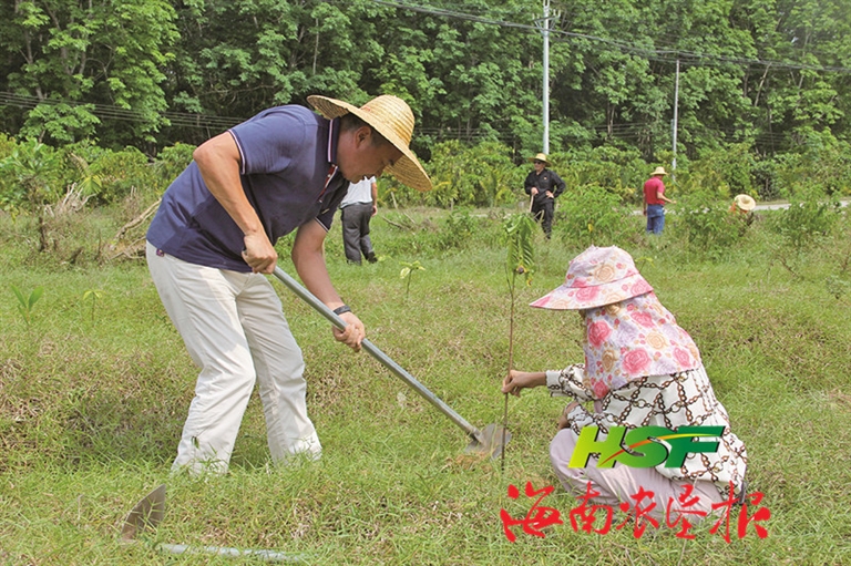 “指头”变“拳头” 发展有劲头