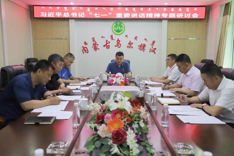 学习贯彻习近平总书记“七一”重要讲话精神