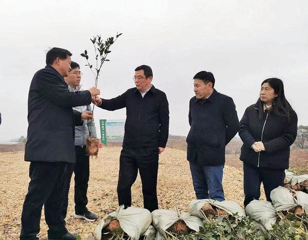 江投集团领导到乡村振兴定点帮扶村开展走访慰问