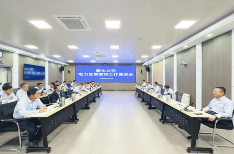 公司召开电力发展营销工作座谈会