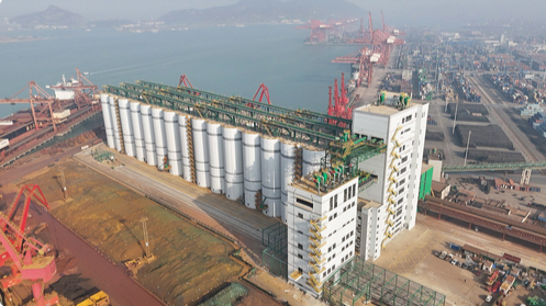 30万吨“超级粮仓”建设完美收官