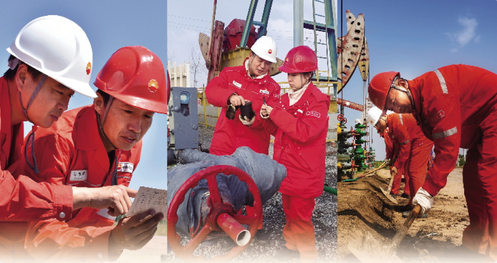 精耕细作强根基 创新驱动增收益